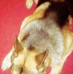 Meet your Posher, Carol